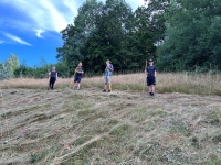 Vogelwiese Eisbaeren 2023